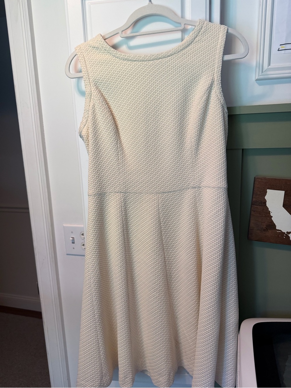 Maggy London Cream Textured Sleeveless Fit-and-Flare Dress